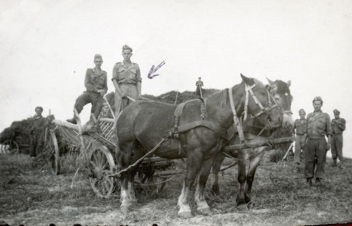 Historia: 75. rocznica Akcji H-T. Jak Stalin "prostował" granicę Polski?