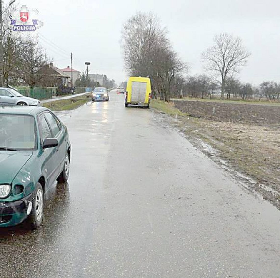 Horyszów Polski: Wprost pod samochód