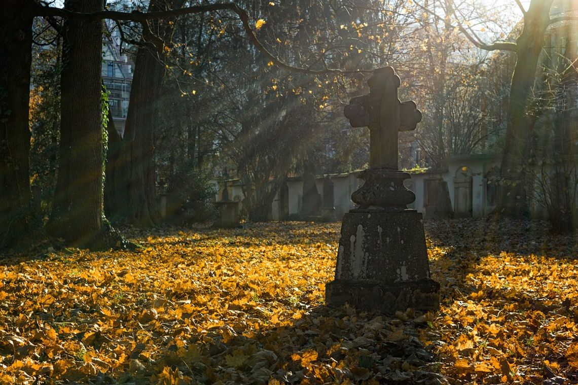 Hrubieszów: Bardzo udana kwesta na cmentarzu