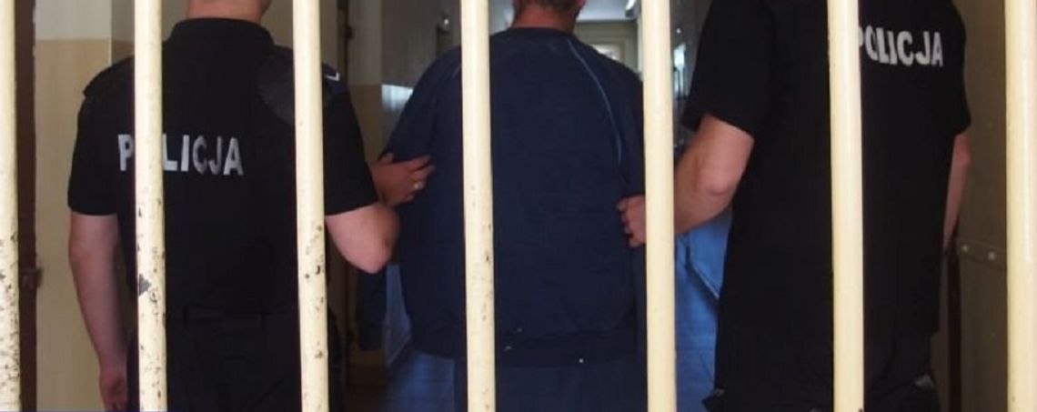 Hrubieszów: Będzie areszt dla 33-latka? Zabił psa, groził sąsiadom