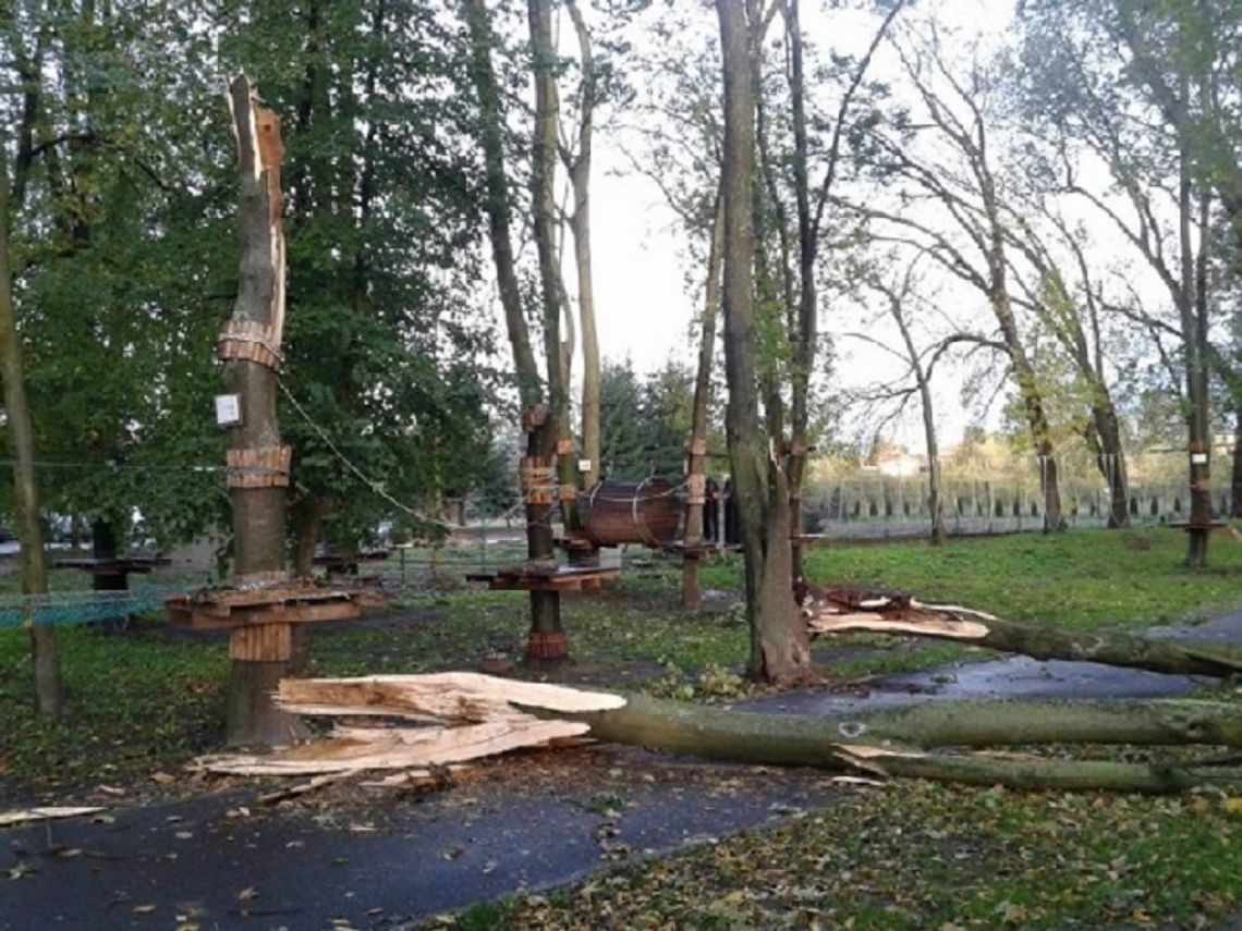 Hrubieszów: Park linowy zamknięty. Orkan Ksawery połamał drzewa