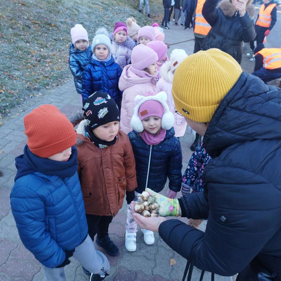 Sadzili kwiaty przed otwarciem Centrum w Hrubieszowie.