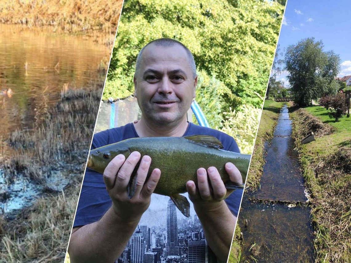 Hrubieszów szykuje się do zmian klimatu. Temperatura wzrośnie, a opadów będzie mniej