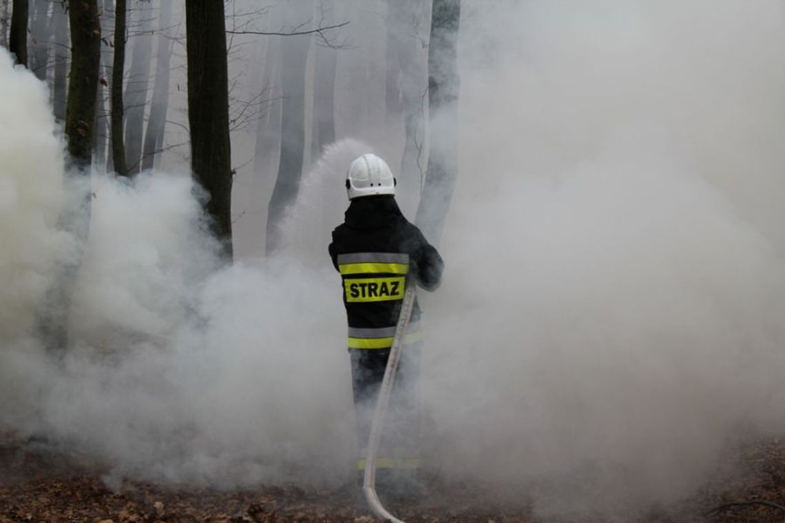 Hrubieszowscy strażacy gasili las w Maziarni