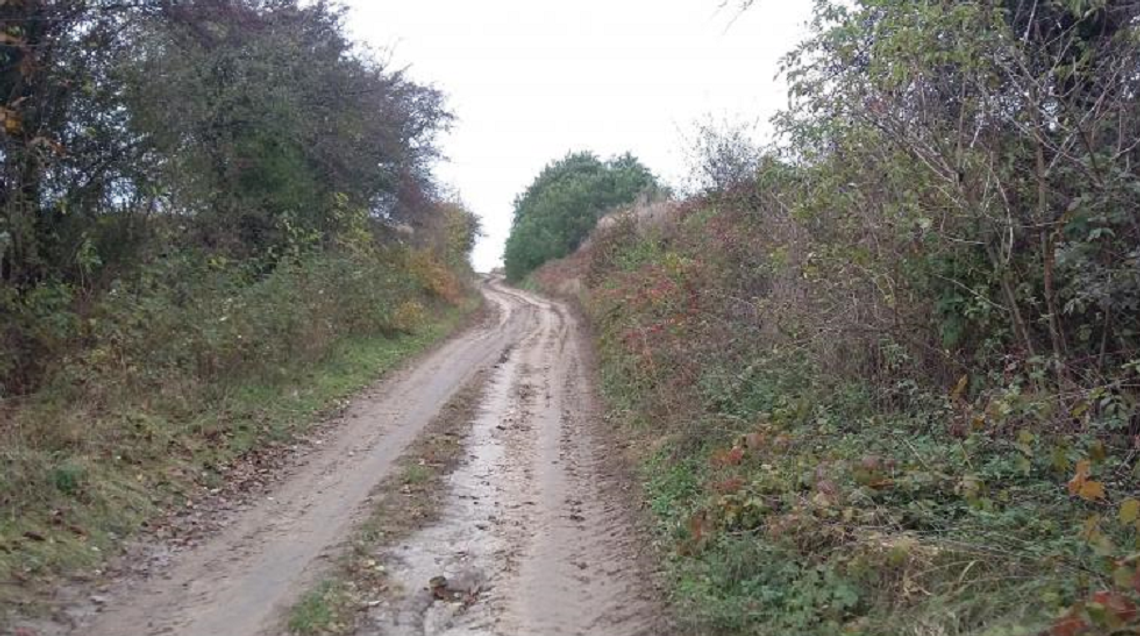 Hrubieszowskie: Lessowy wąwóz i powiatowa droga do remontu