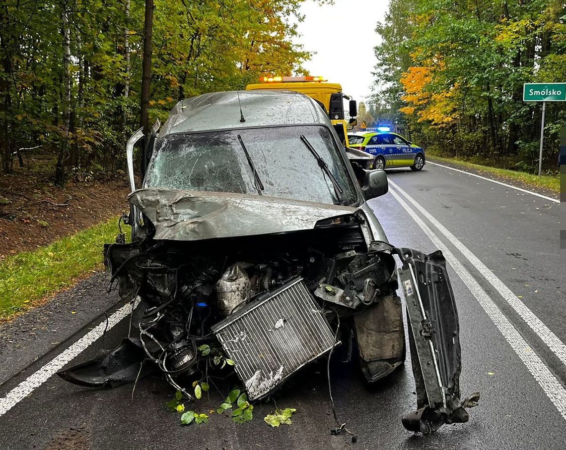 Jazdę zakończył w rowie [ZDJECIA]