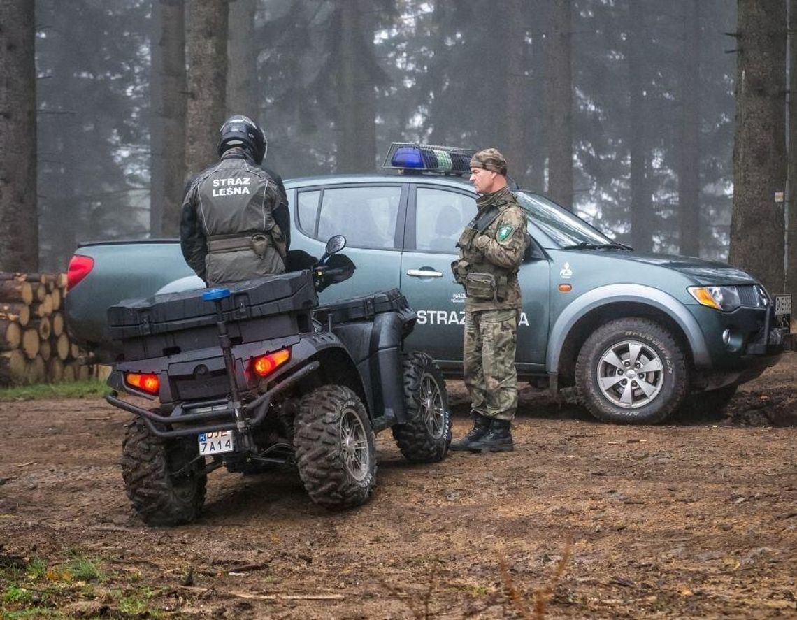 Jedziesz autem na grzyby? Uważaj, 14 września w lasach ruszają kontrole Od 14 września Straż Leśna rozpoczyna ogólnopolską akcję „Jesień 26”, która potrwa do 18 października.