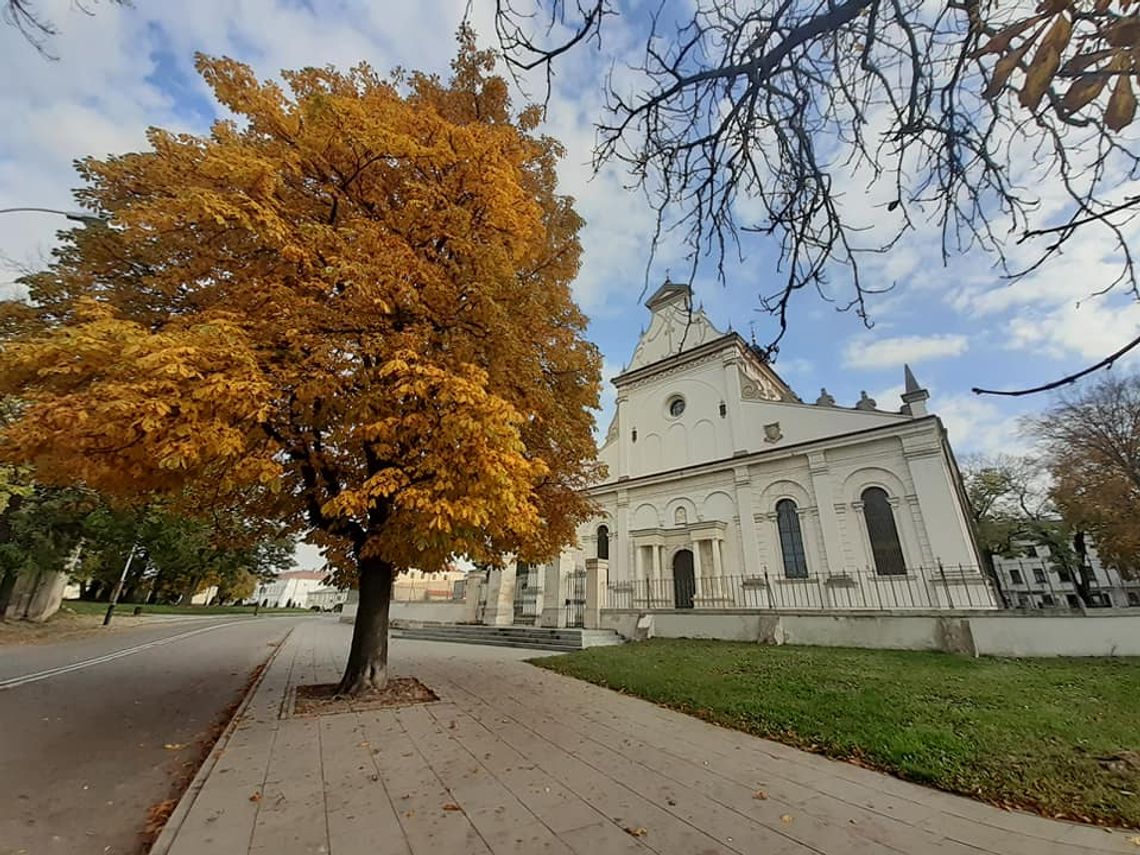 Jesień po zamojsku. Weź udział w konkursie