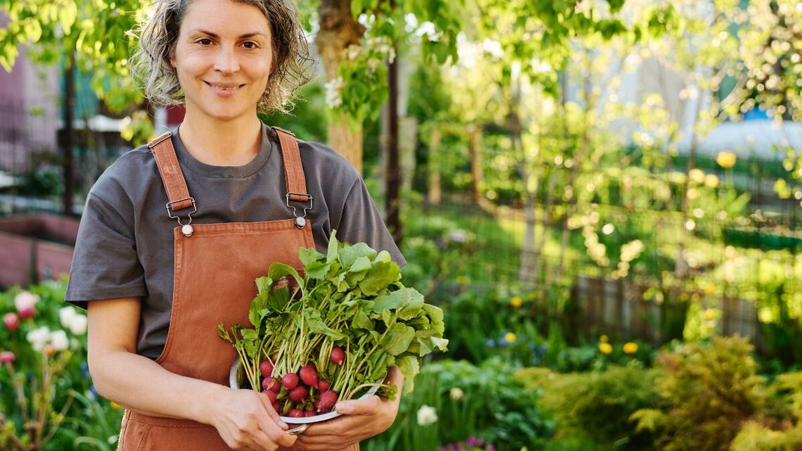 Pierwsze polskie rzodkiewki pojawiły się na rynku hurtowym w Broniszach. Za pęczek trzeba zapłacić mniej niż za rzodkiewki z Włoch.