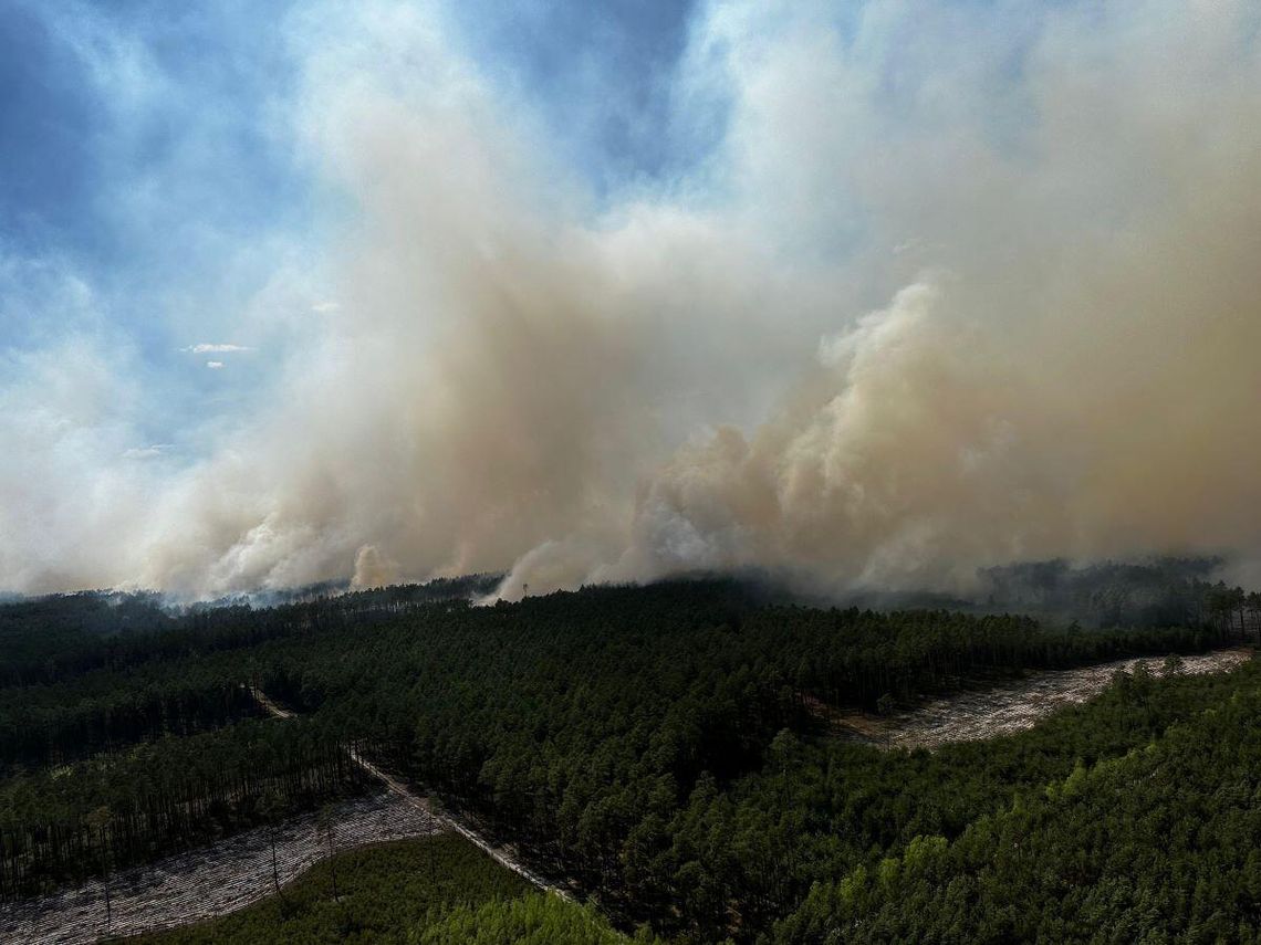 Już 500 hektarów Puszczy Solskiej w płomieniach. Dyrektor Lasów Państwowych: „Jestem przerażony” Pożar Puszczy Solskiej w powiecie biłgorajskim. 6 maja 2026 r.