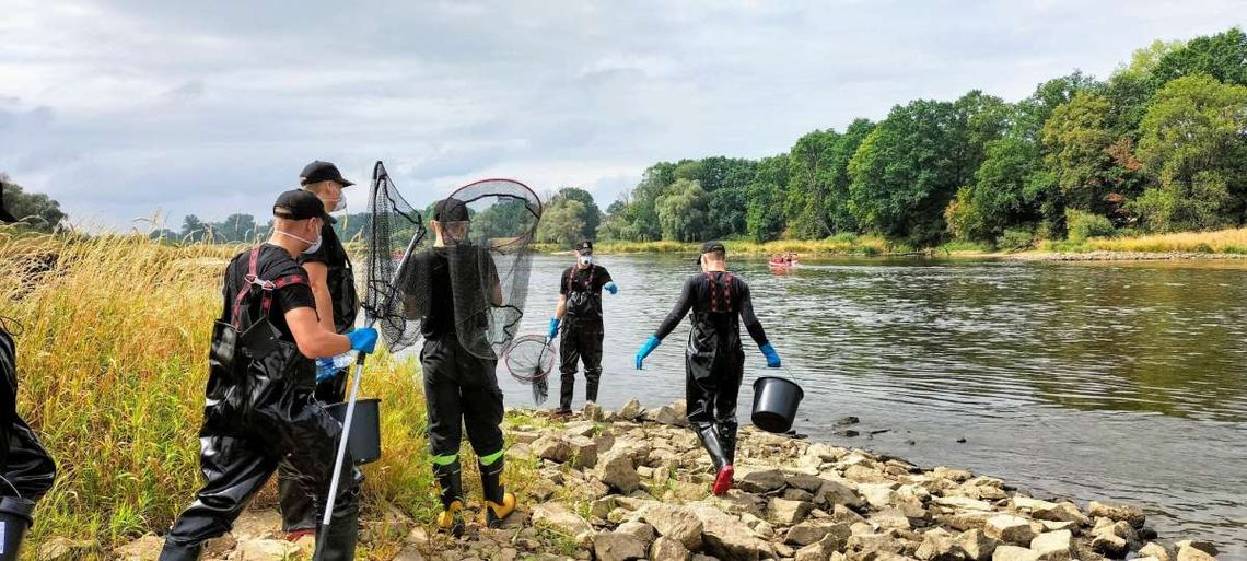 Katastrofa na Odrze. Wędkarze szukają detektywa, przedsiębiorcy załamują ręce