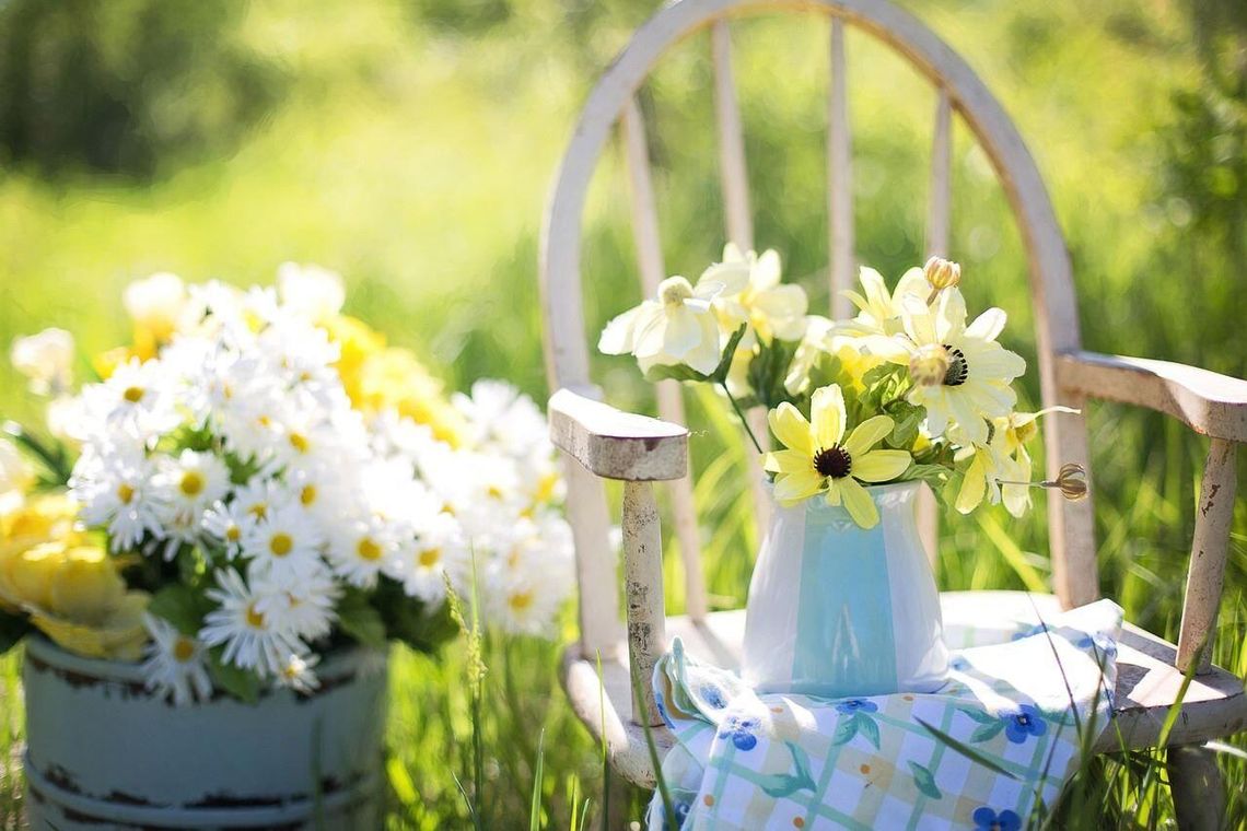 Konkurs dla mieszkańców gminy Tyszowce. Wybiorą najpiękniejsze ogrody i posesje