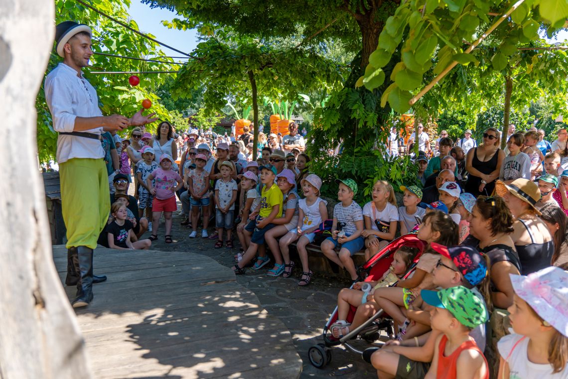 Korzystaj z ostatnich dni lata w Magicznych Ogrodach!