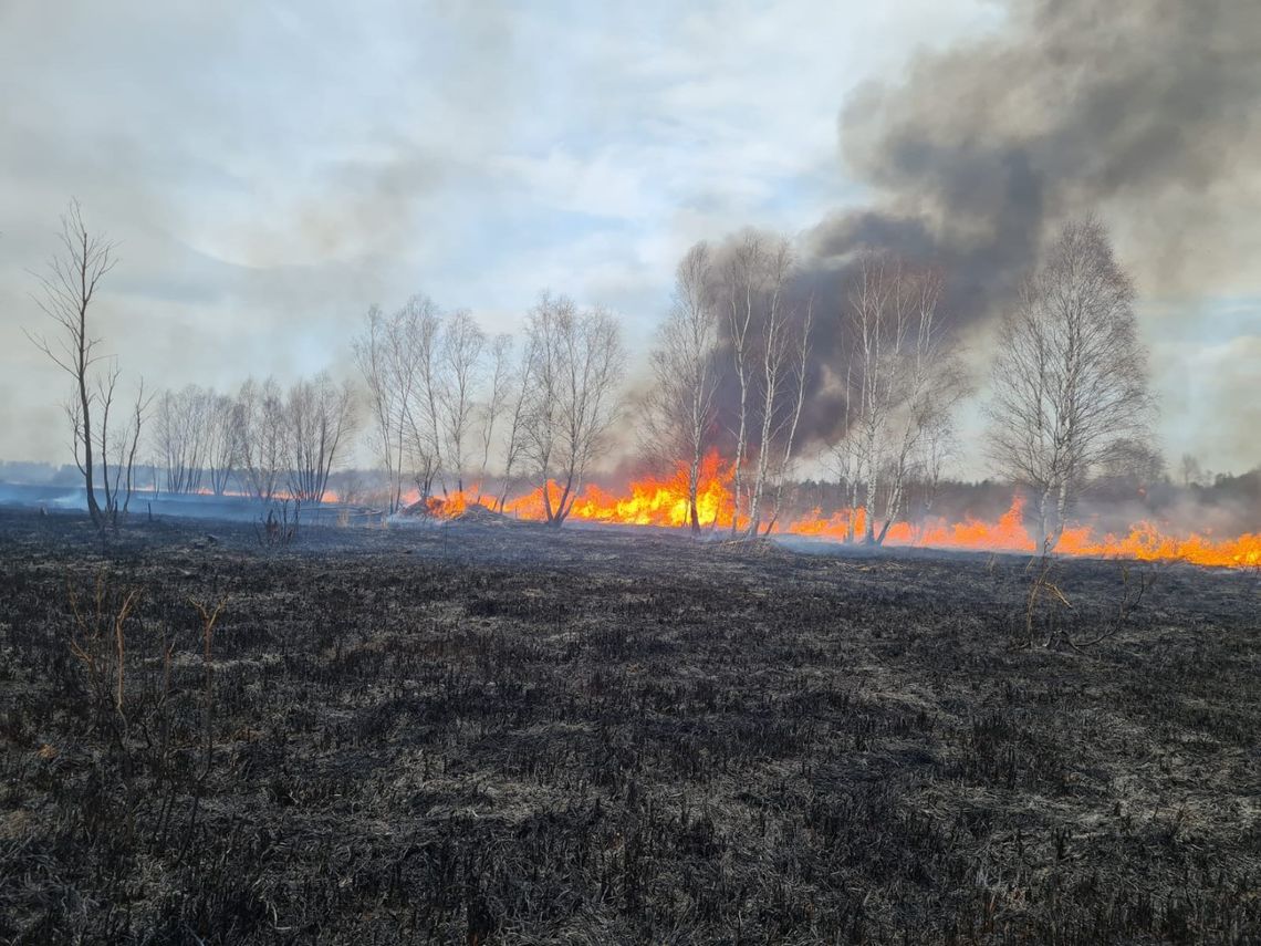 Kozaki: 200 hektarów poszło z dymem