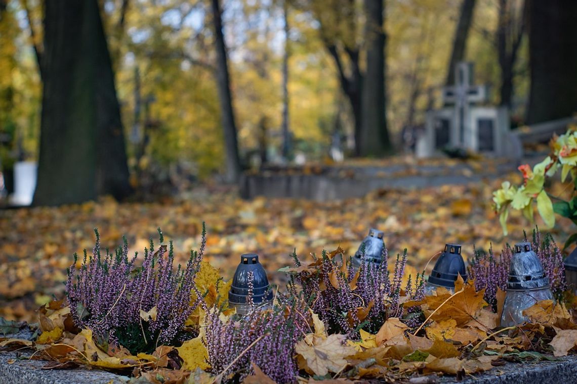 Krasnobród: Zmiana organizacji ruchu przy cmentarzu na Wszystkich Świętych