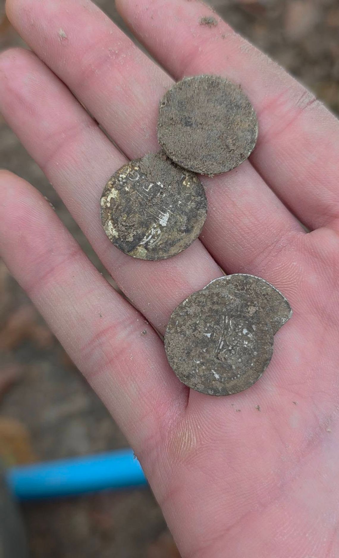 Krótka wyprawa w teren okazała się wyjątkowo owocna dla poszukiwaczy z Wolicy. Podczas jednego z wyjść natrafili oni na cztery srebrne monety z czasów Zygmunta III Wazy.