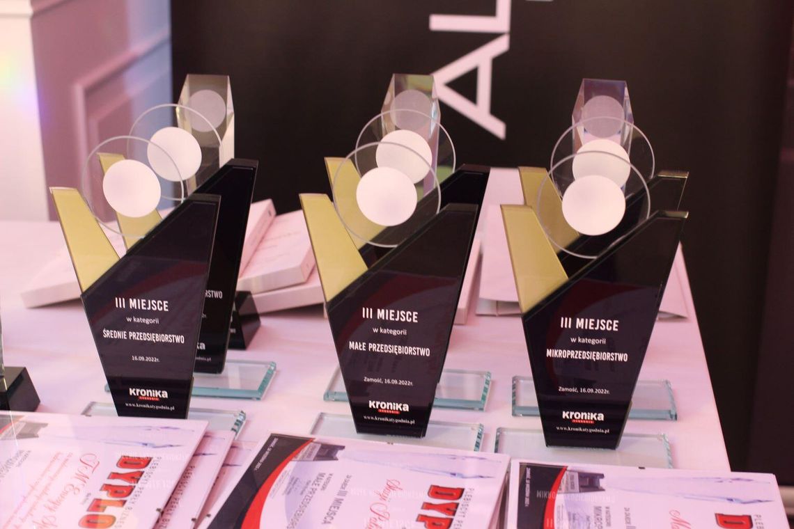 Kto zwycięży w plebiscycie Perły Biznesu? Zaczynamy głosowanie!