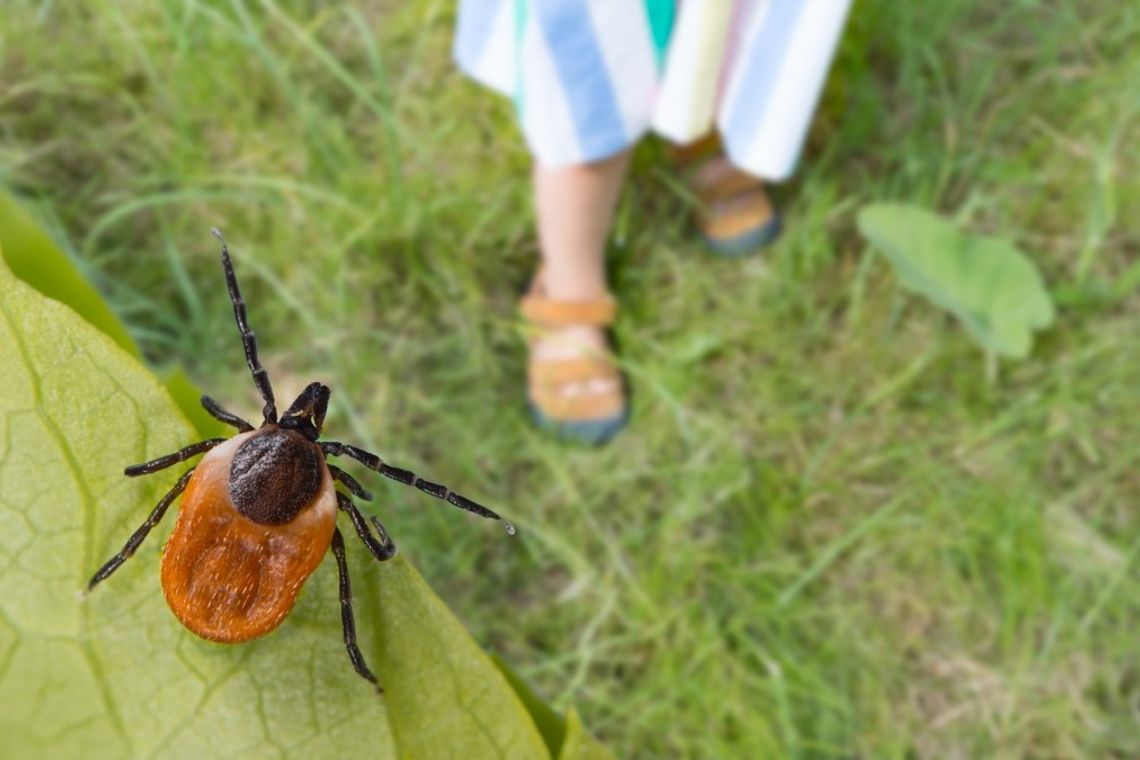 130 tysięcy złotych kary za leczenie groźnej choroby metodami nieuznawanymi przez świat medyczny. Jest już pierwszy wyrok sądu.