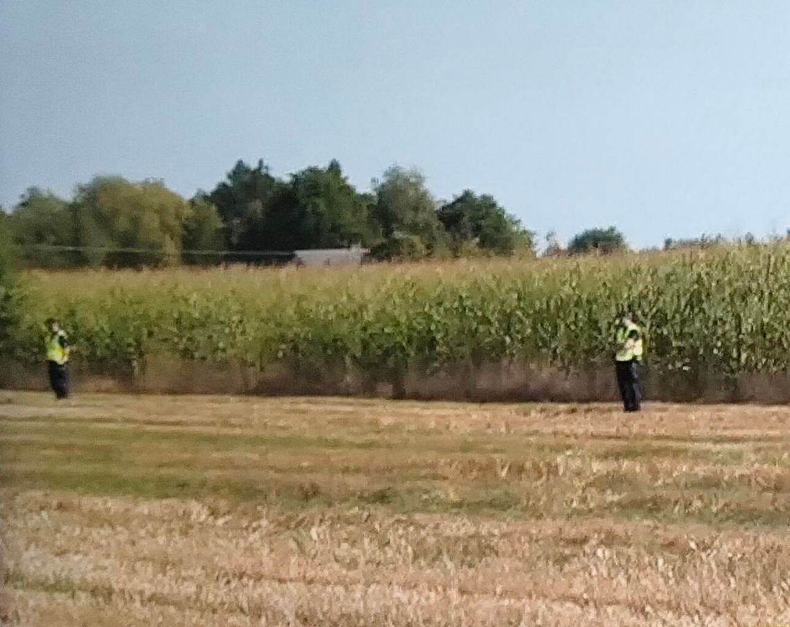 Nocna eksplozja w polu kukurydzy w Osinach postawiła na nogi wszystkie służby.