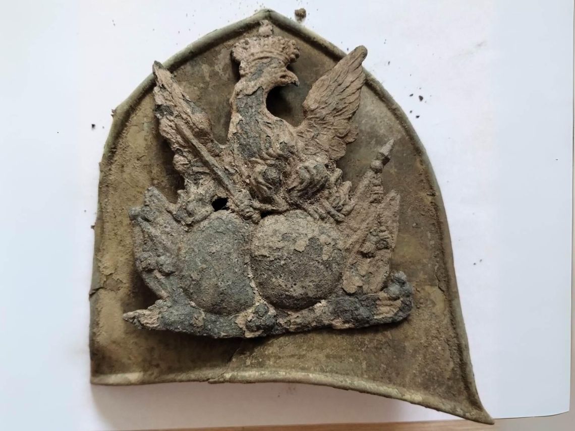 Orzełek znaleziony na Lubelszczyźnie.