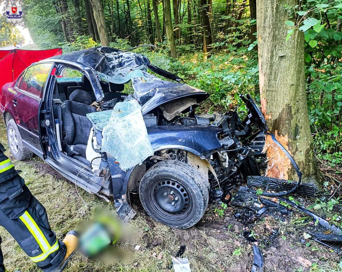 Lubelskie. Uderzył w drzewo. Zginął na miejscu