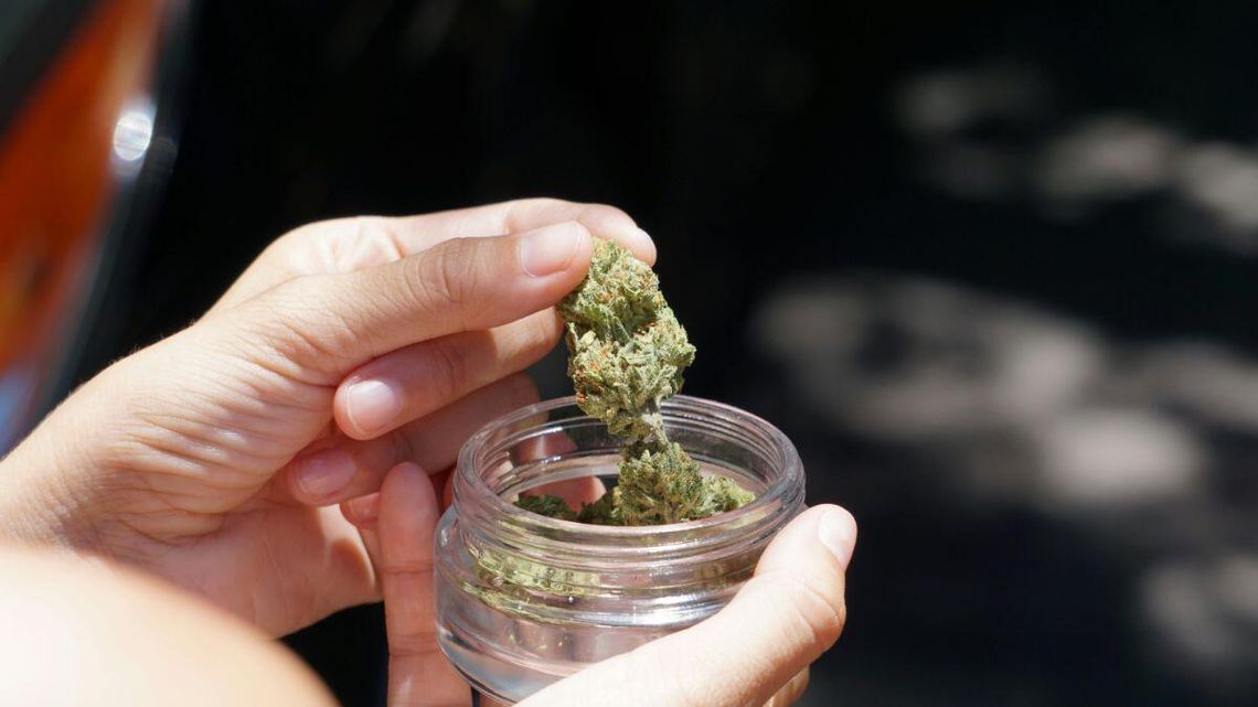 Jest już gotowy poselski projekt ustawy dopuszczający posiadanie niewielkich ilości marihuany.