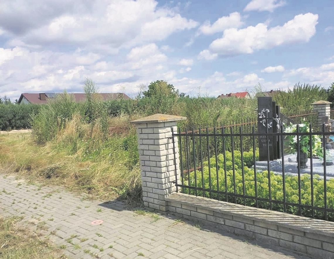 Działkę obok cmentarza w Werbkowicach porastają suche, wysokie trawy.