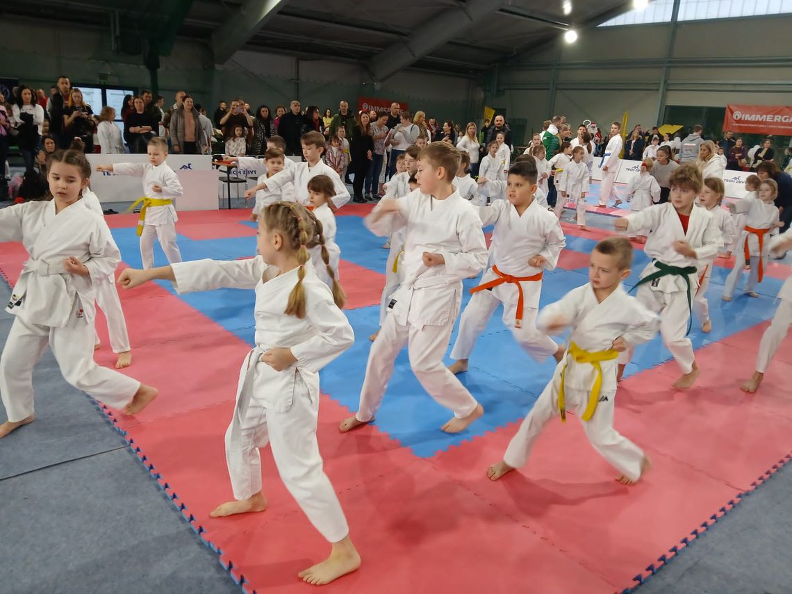 XIII Turniej o Puchar Świętego Mikołaja w Karate Tradycyjnym w Zamościu.
