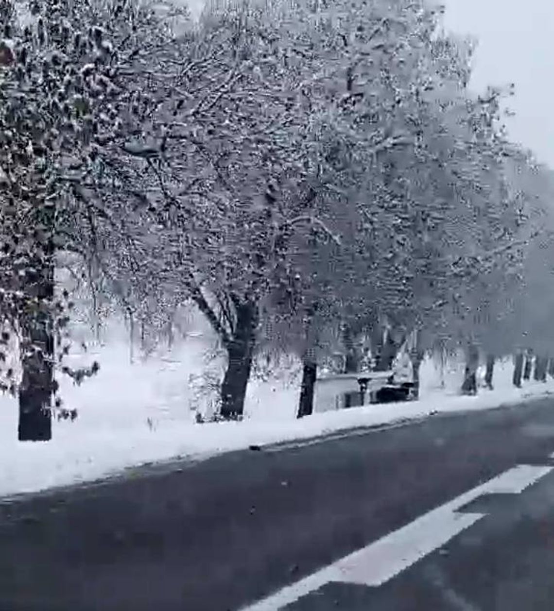 Warto zwolnić, by dojechać do celu. Ukraiński kierowca nie zapanował nad pojazdem i zjechał do rowu.