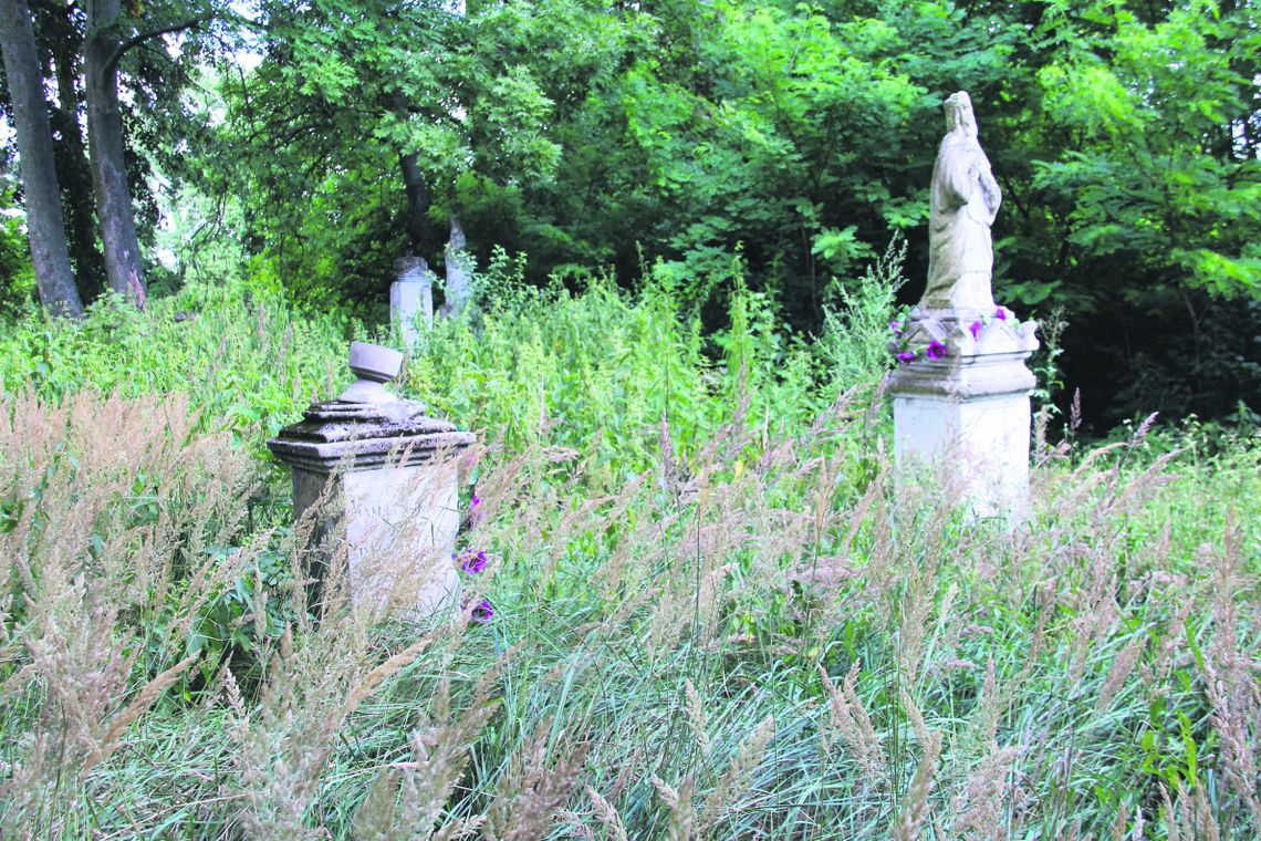 Na cmentarzu prawosławnym w Hopkiem przepiękne nagrobki porosły chaszcze.
Na cmentarzu prawosławnym w Hopkiem przepiękne nagrobki porosły chaszcze.