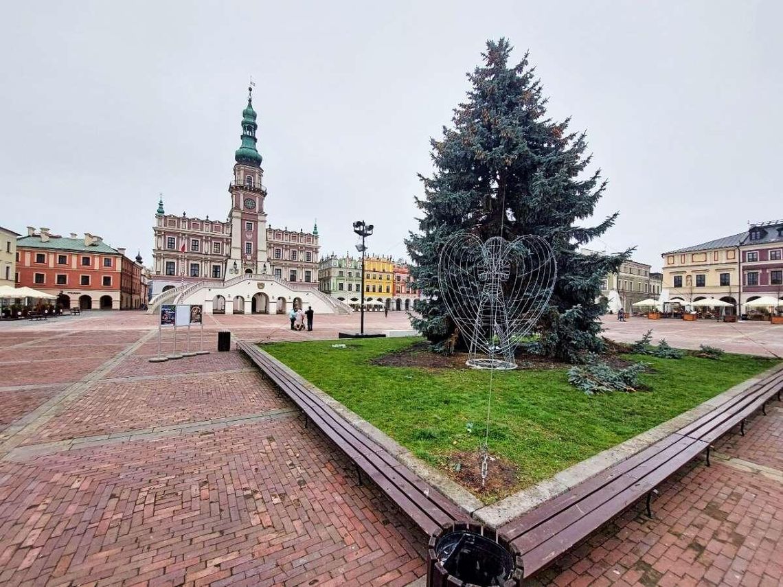 Choinka na Rynku Wielkim w Zamościu. 28 listopada 2025 r.