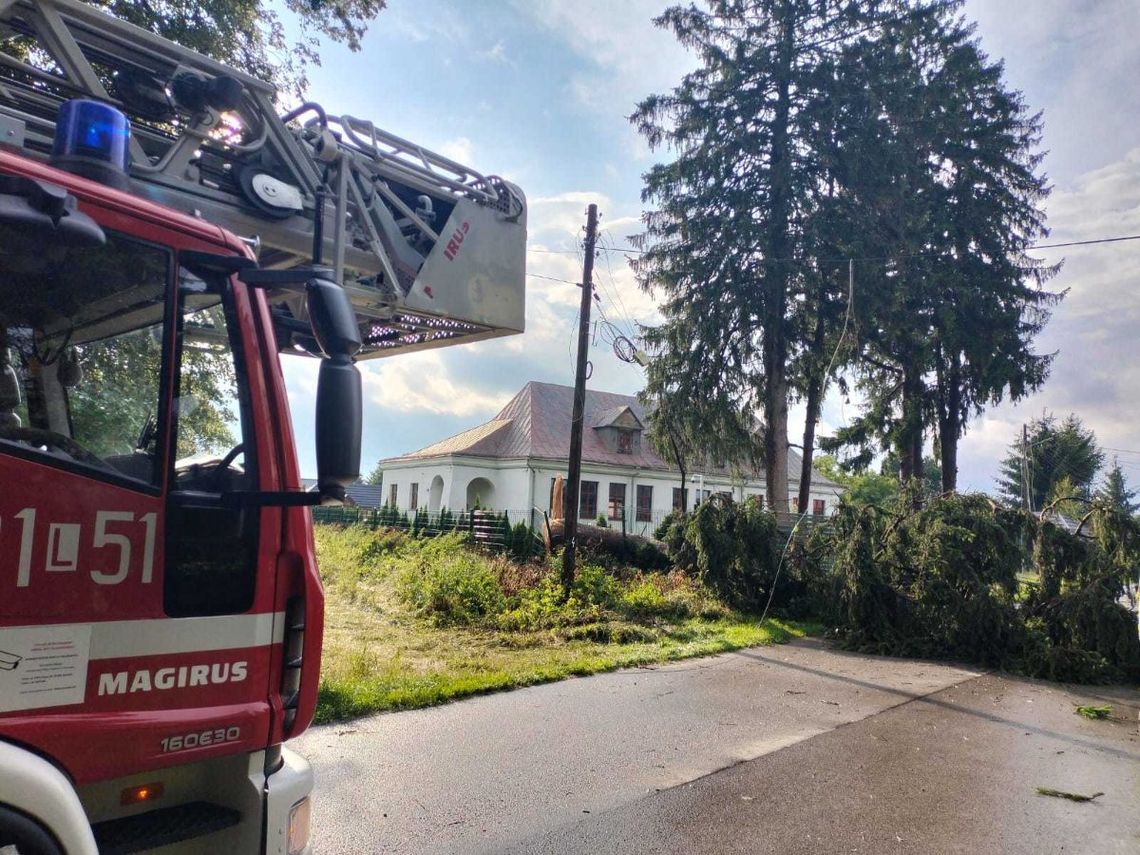 W poniedziałek (27 lipca) po południu nad powiatem zamojskim przeszła gwałtowna burza.