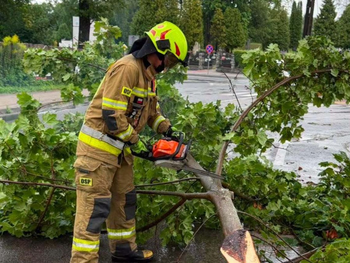 Najwięcej pracy ratownicy mieli w samym Biłgoraju, ale interwencje były konieczne również w: Woli Małej, Woli Dereźniańskiej i Dereźni Zagrodach, Rapach Dylańskich, Hedwiżynie i Korytkowie Dużym, Olszance oraz Lipinach Dolnych i Lipinach Górnych-Borowinie.