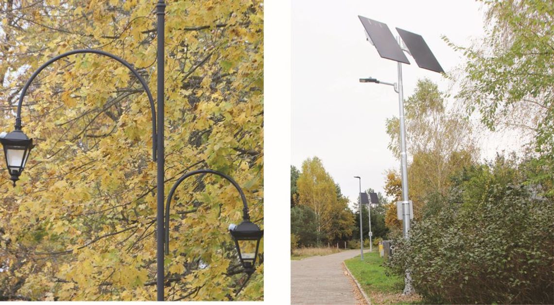 PERŁY BIZNESU 2022: Modernizacja istniejącego oświetlenia ulicznego w Zwierzyńcu (Inwestycja Samorządowa Roku)
