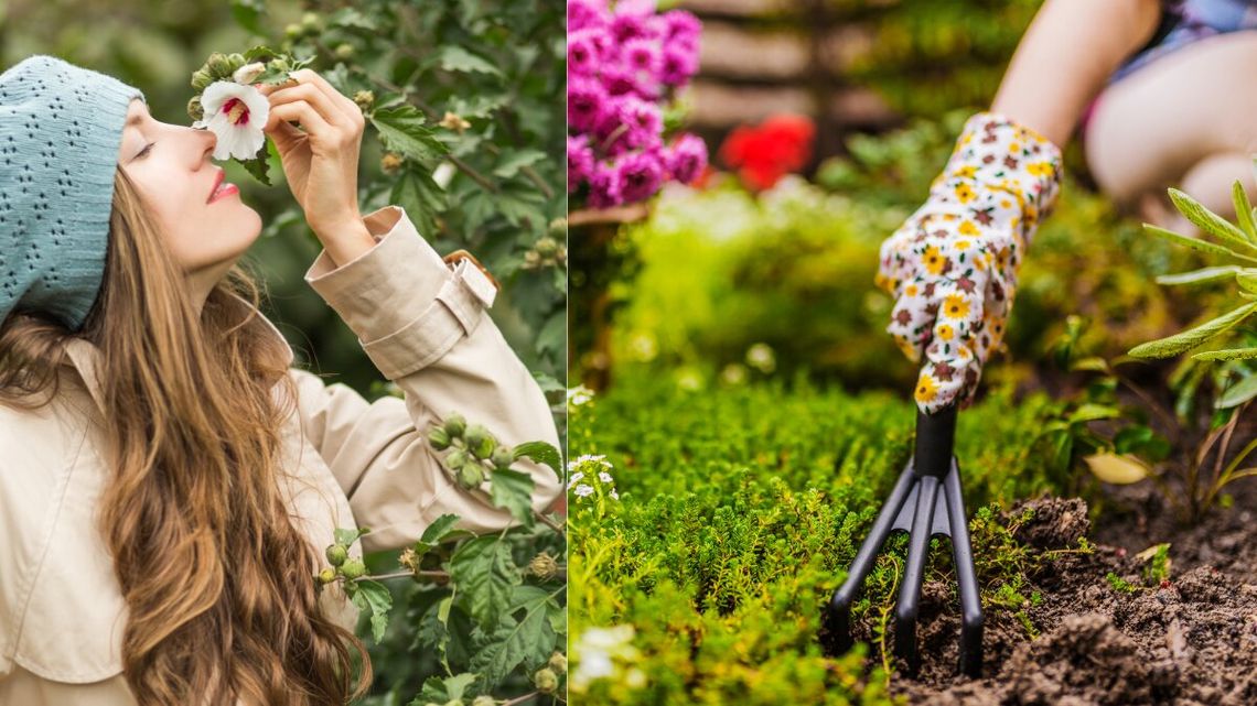 20 marca jest astronomiczną datą początku wiosny.