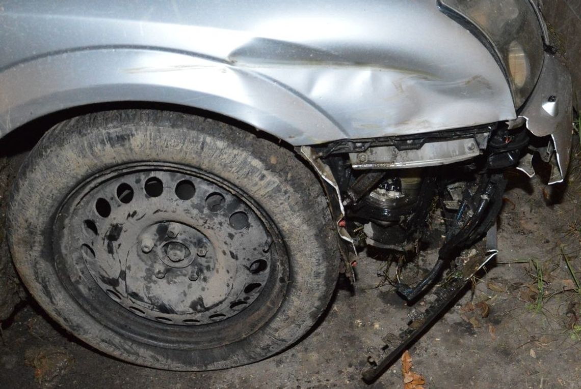 Pijany zniszczył auto na krzewie bzu