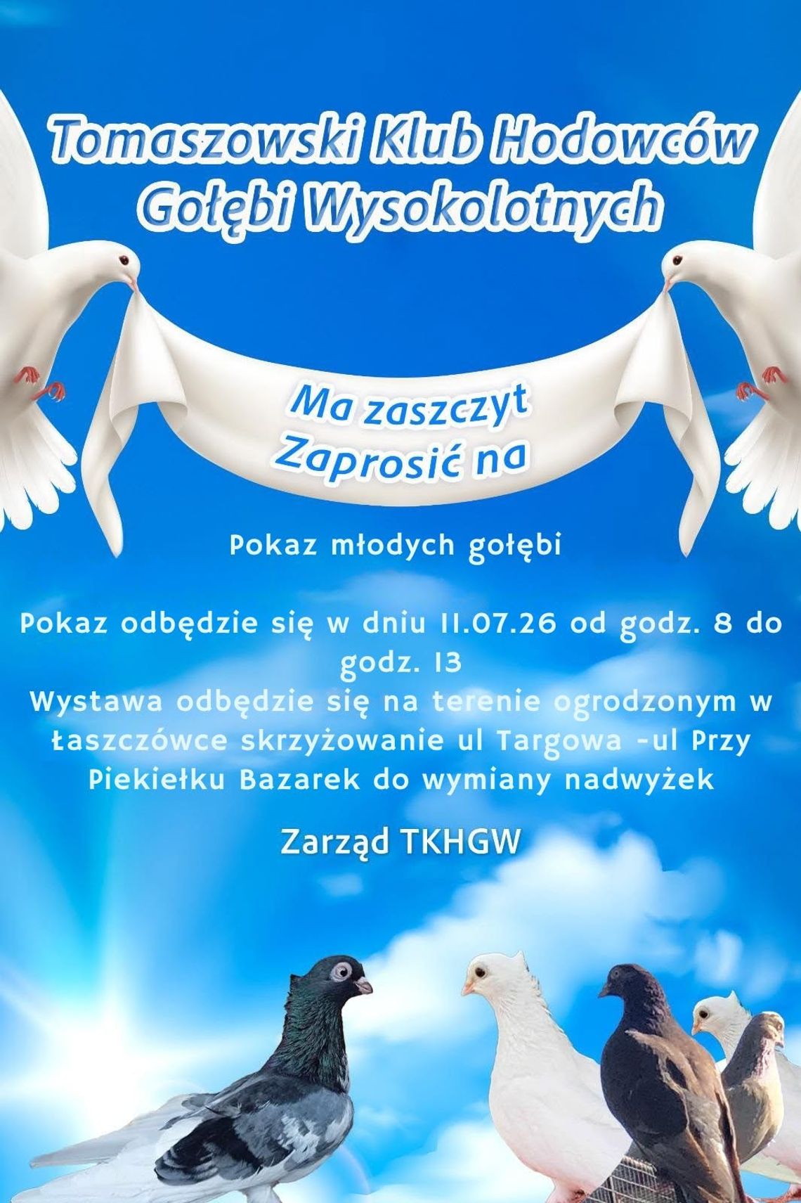 Pokaz młodych gołębi w Łaszczówce. Hodowcy zapraszają na spotkanie Tomaszowski Klub Hodowców Gołębi Wysokolotnych zaprasza mieszkańców na pokaz młodych gołębi.