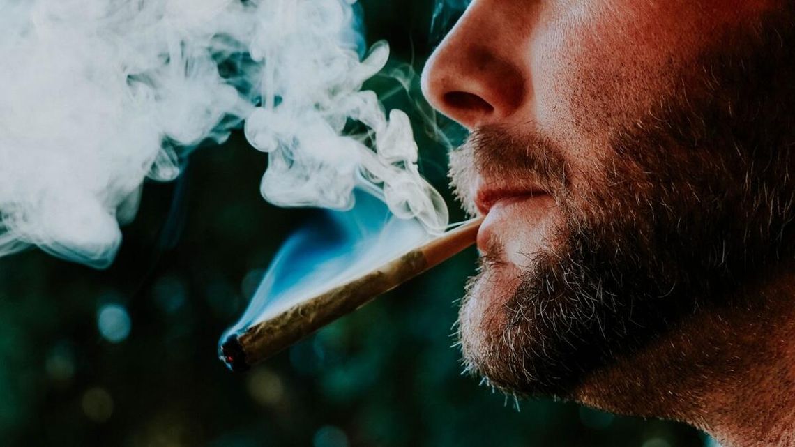 Wbrew intencjom ustawodawców restrykcje wprowadzone przez Ministerstwo Zdrowia wcale nie zahamowały rosnącej popularności marihuany medycznej.