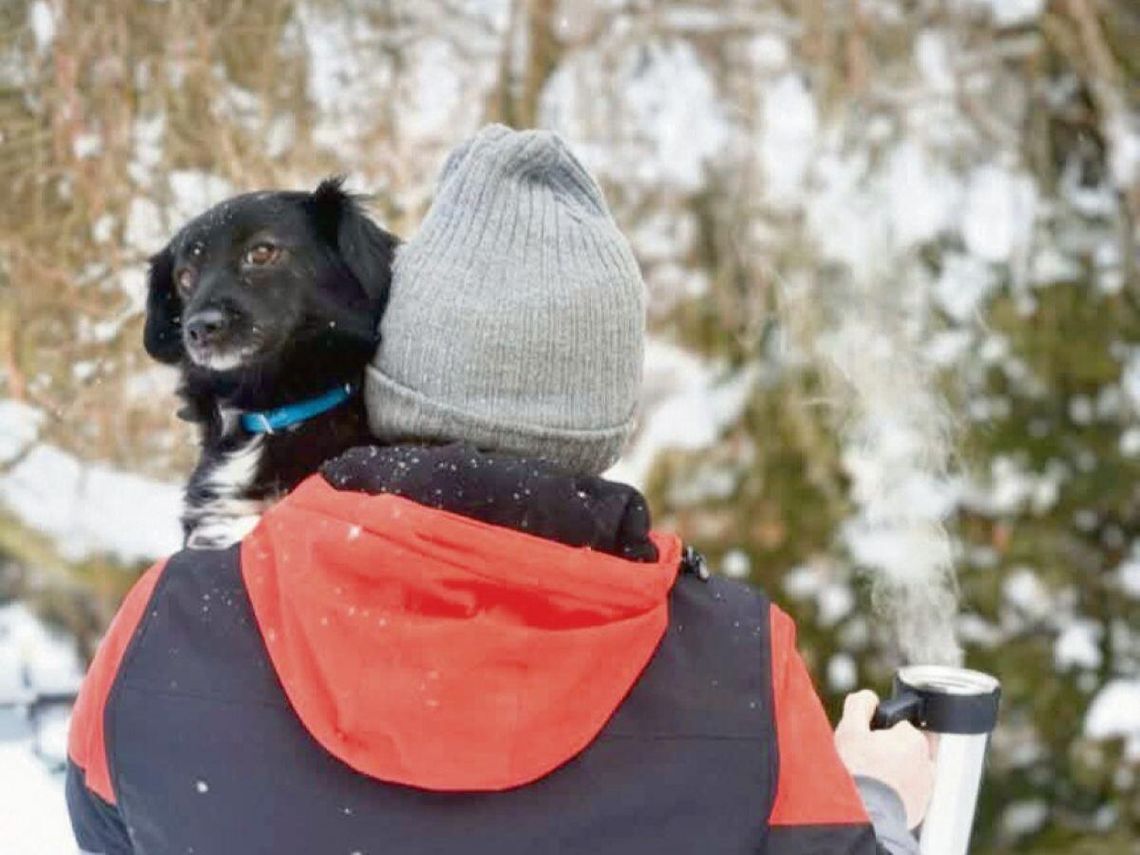 Kilkuletnia działalność na rzecz bezdomniaków z Tomaszowa miała też swoją ciemną stronę – pomówienia i hejt. Dlatego niektóre z wolontariuszek powiedziały „dość”. Kilka z nich mimo wszystko będzie działać dalej, ale już w innych strukturach.