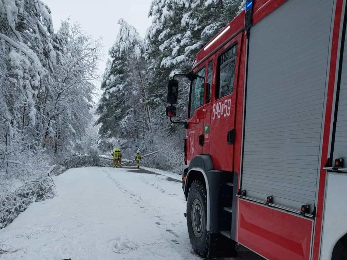 Strażacy z OSP Tarnawatka usuwali w niedzielę drzewa na trasie Tarnawatka-Pańków-Szarowola.
