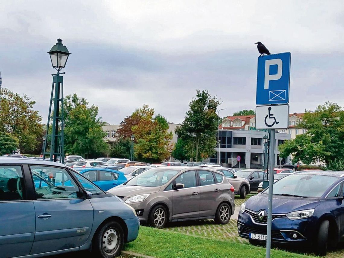 Do strefy B postanowiono dołączyć m.in. parking na terenie dawnej bazy MZK (przy Lunecie).