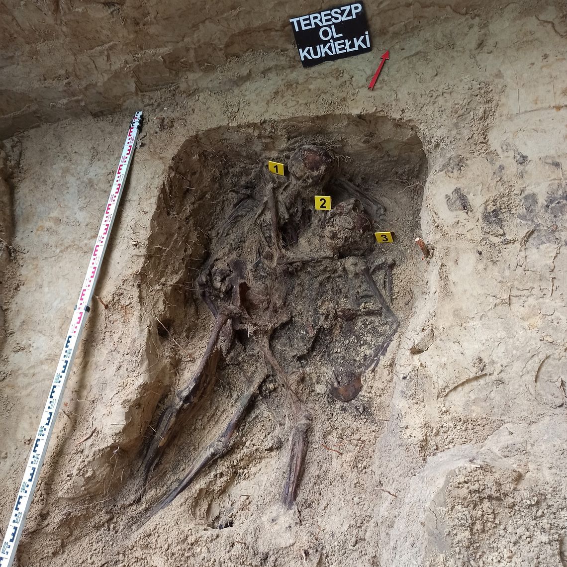 pow. biłgorajski: Odnaleziono żołnierskie mogiły [ZDJĘCIA]