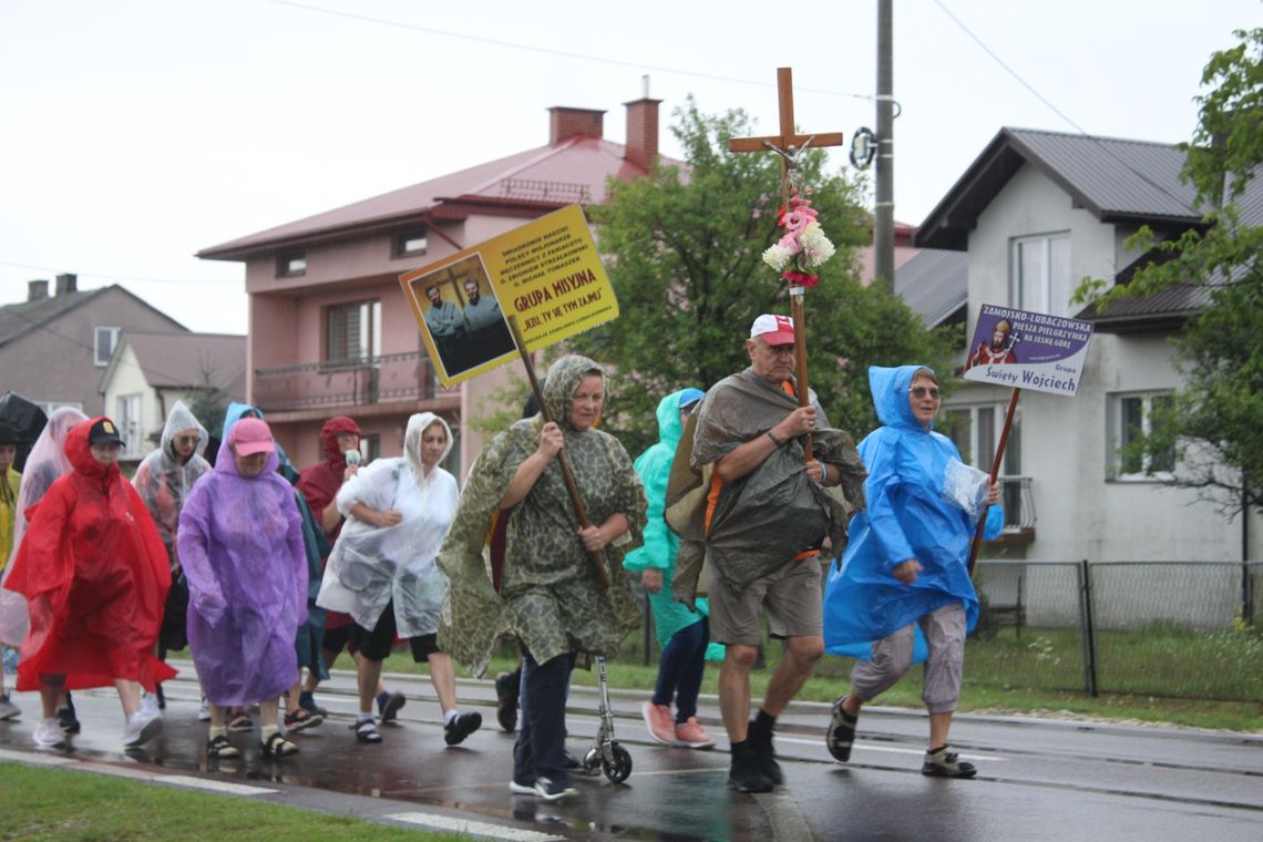 pow. biłgorajski: Pątnicy w drodze na Jasną Górę [ZDJĘCIA]