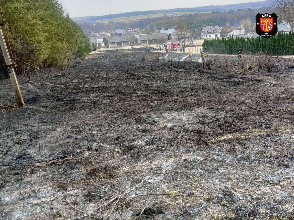 Pożaru suchych traw i młodnika w pobliżu lasu, przy ul. Wrzosowej w Bełżcu. Ogień był bardzo blisko zabudowy rodzinnej.