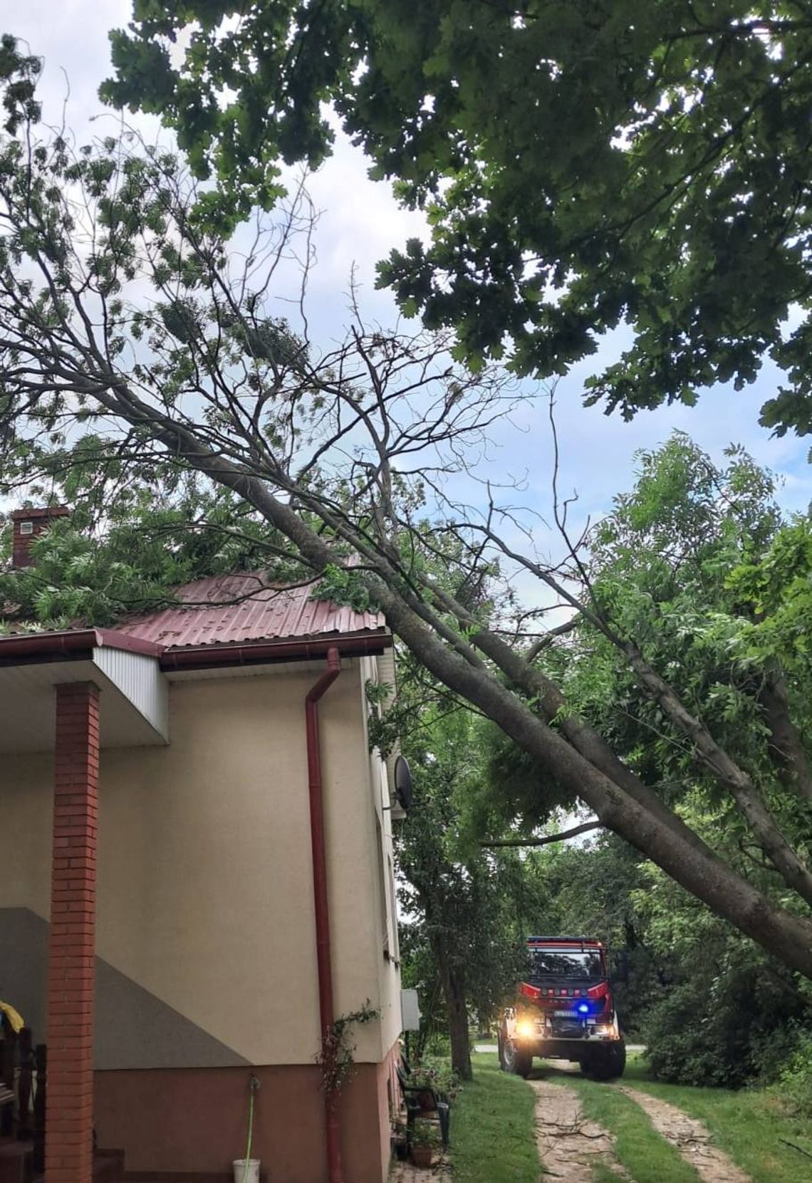 Podczas burzy, która przeszła nad powiatem zamojskim w nocy z 23 na 24 czerwca, strażacy odnotowali 7 wyjazdów.