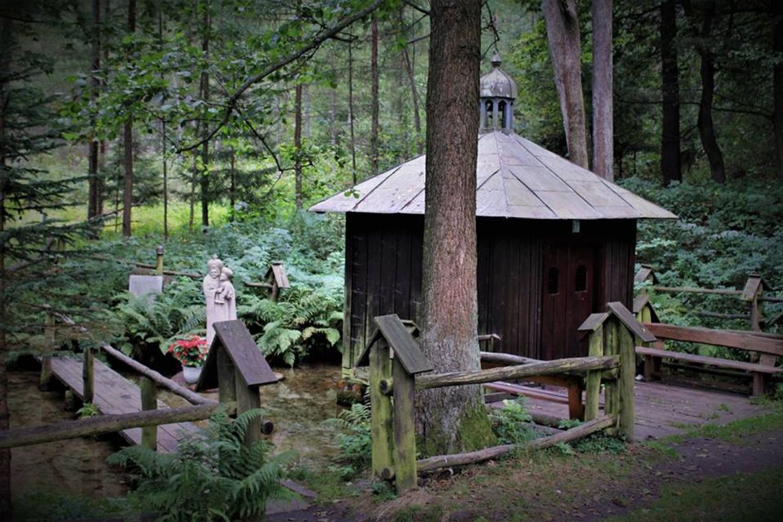 Powiat tomaszowski: Geopark tylko w planach