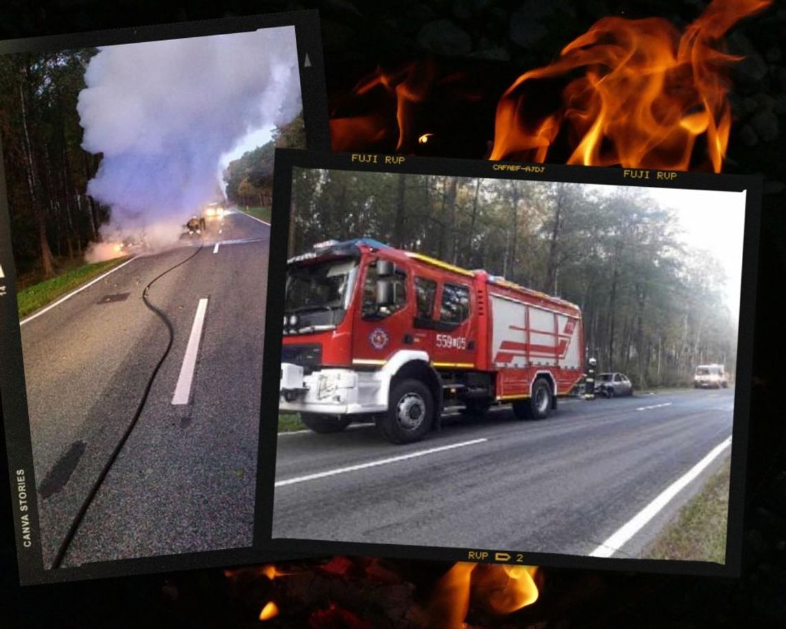 Pożar na skraju lasu i powiatów. Płonęło auto!