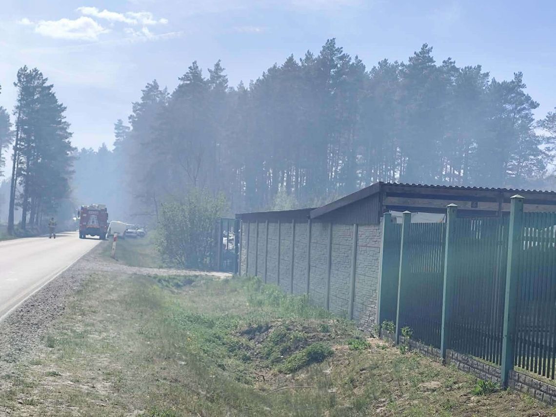 Pożar Puszczy Solskiej. Wolontariusze ewakuowali psy z przytuliska w Józefowie Przytulisko w Józefowie znajduje się zaledwie 13 kilometrów od wsi Kozaki, gdzie wybuchł pożar, który rozprzestrzenił się na kilkaset hektarów Puszczy Solskiej. Wolontariusze zdecydowali się na ewakuację psów.
