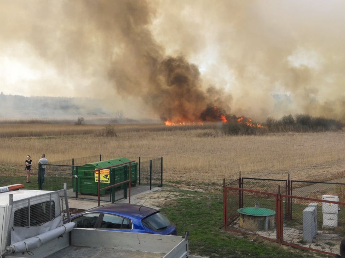 Pożar za pożarem!!! Strażacy już 139 razy jeździli do płonących traw (ZDJĘCIA, FILM)