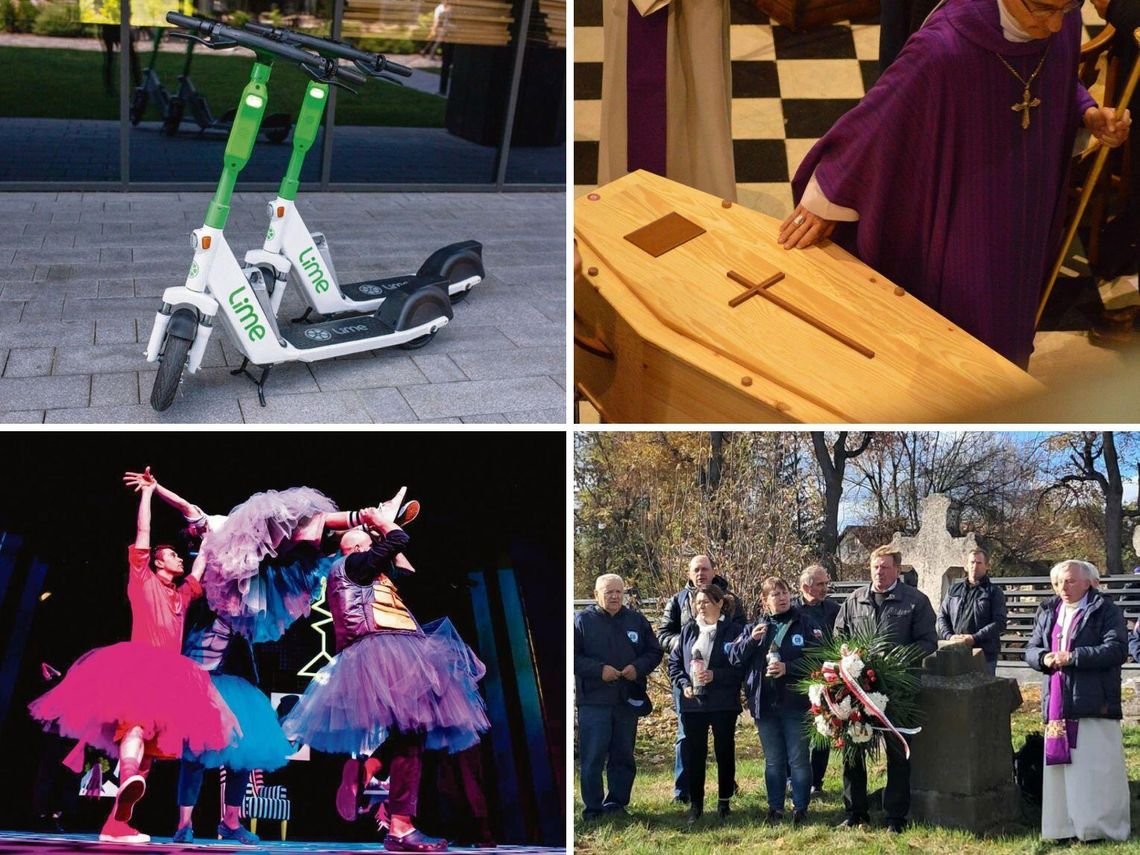 Przegląd wiadomości, 11 listopada 2025. Zamość, Tomaszów Lubelski, Hrubieszów, Biłgoraj Przegląd najciekawszych wiadomości, które opublikowaliśmy 11 listopada na stronie internetowej Kroniki Tygodnia.